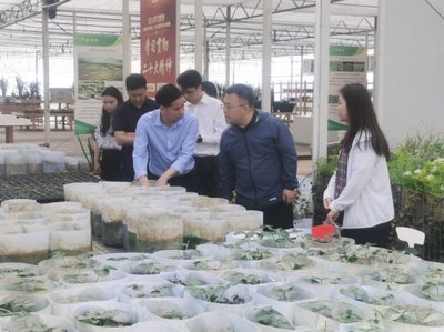 深入調(diào)研謀發(fā)展 院地合作促振興——花溪區(qū)委常委、組織部部長(zhǎng)張楠一行蒞臨我院調(diào)研座談